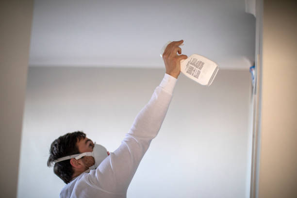 Best Commercial Mold Removal  in Middleport, NY