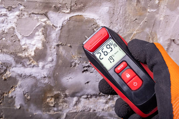 Reliable Middleport, NY Mold Removal Solutions