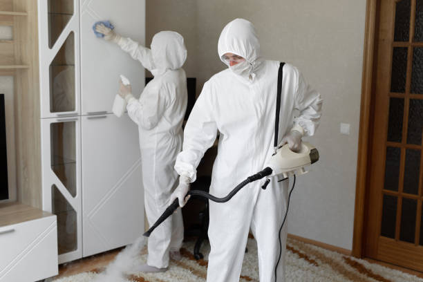Best Mold Remediation Experts  in Middleport, NY